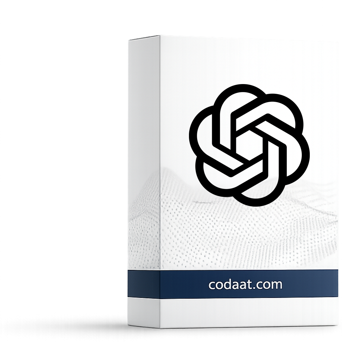 ChatGPT Plus Ready Account