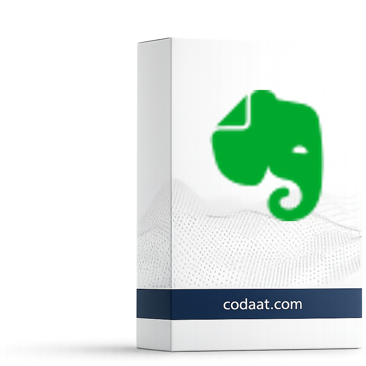 Evernote Personal 12 Months