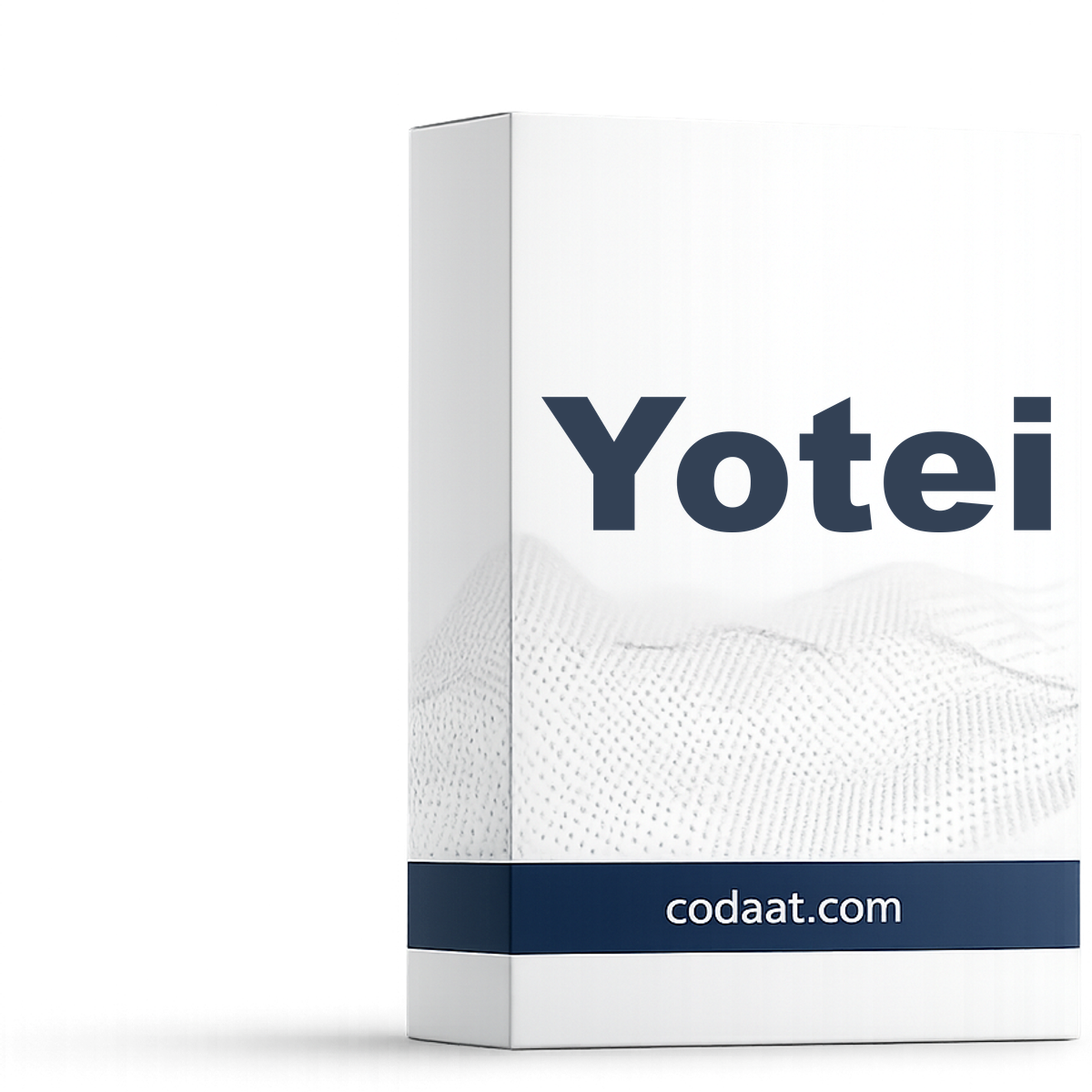 Ghost of Yotei Standard Edition