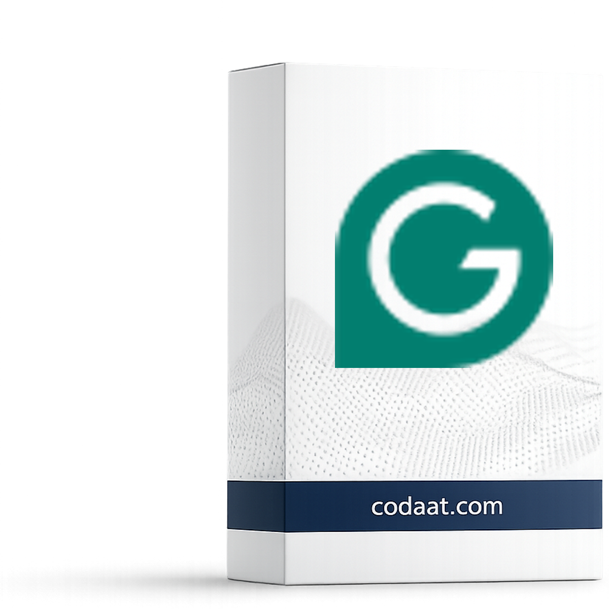 Grammarly Premium 12 Months