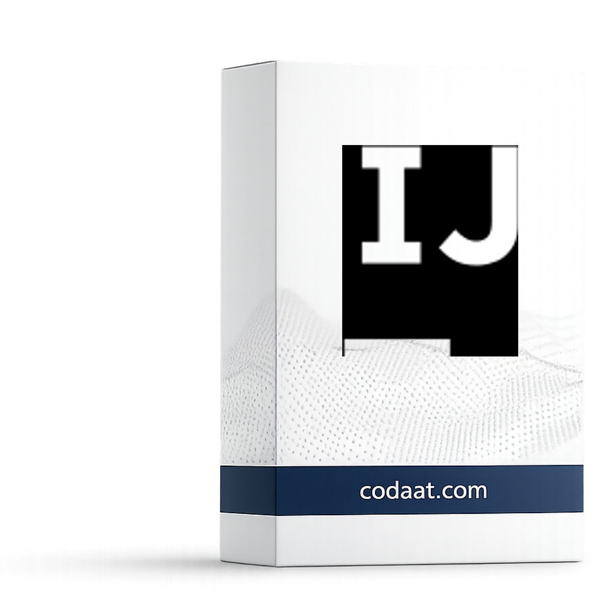 IntelliJ IDEA Ultimate 12 Months