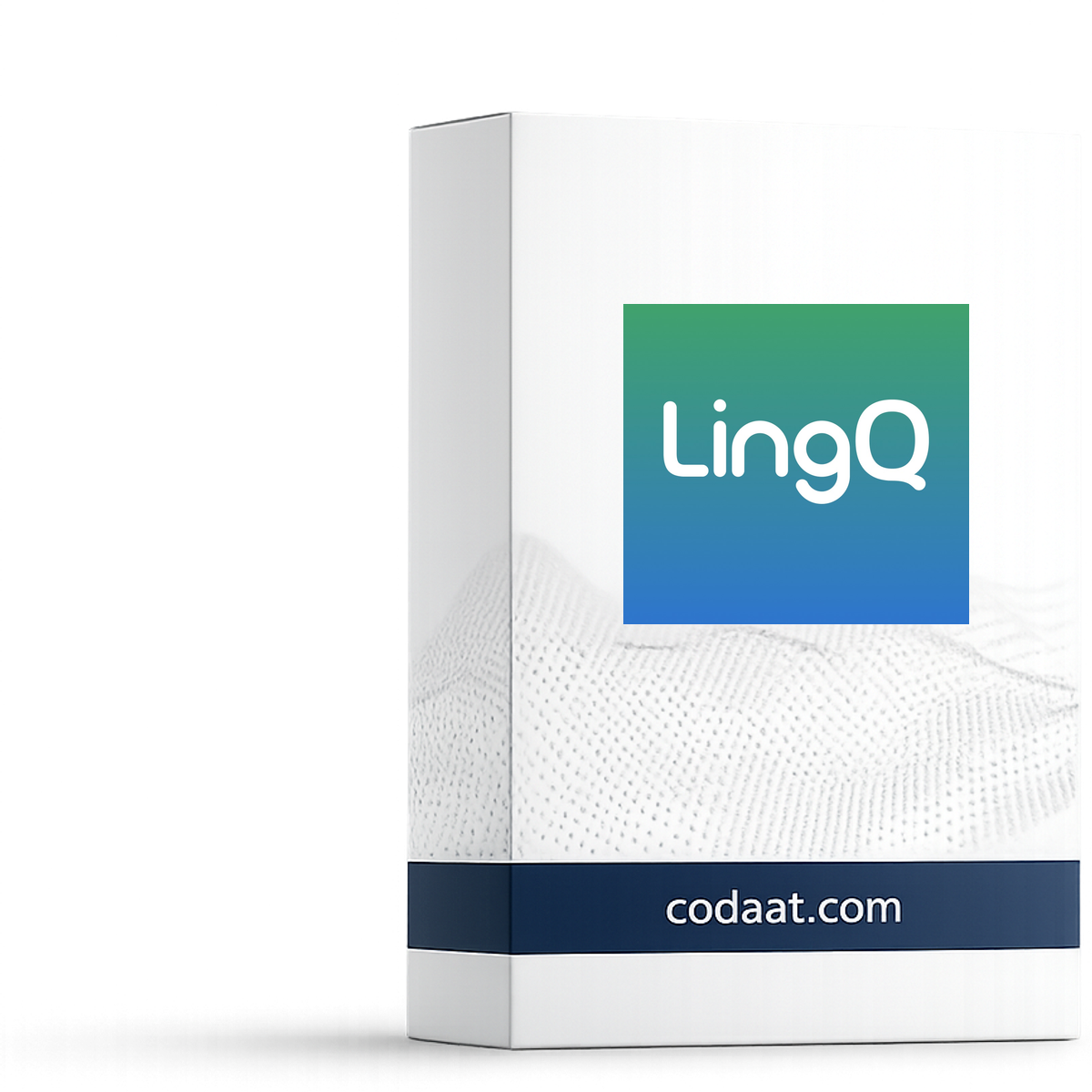 LingQ Premium 12 Months