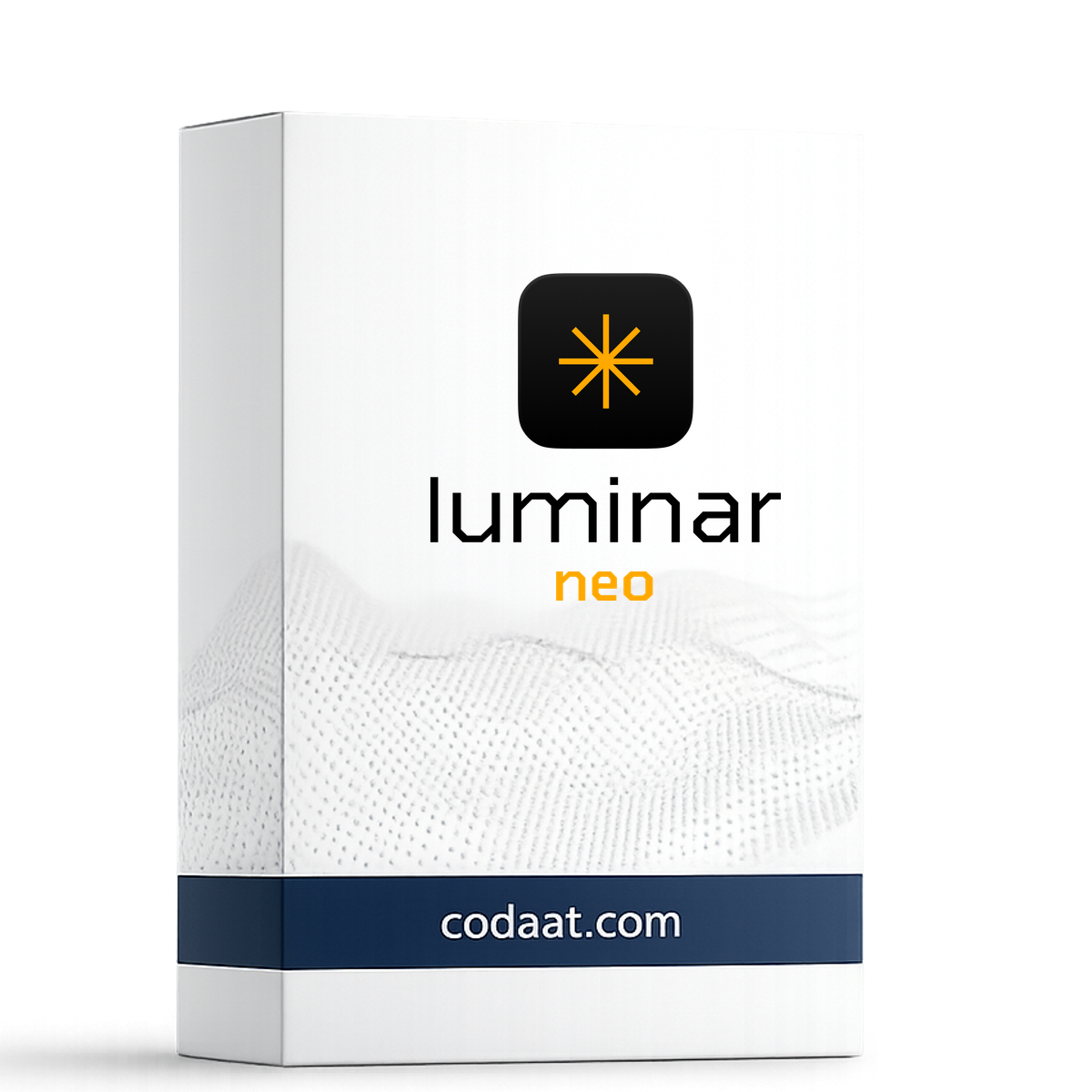 Luminar Neo 12 Months