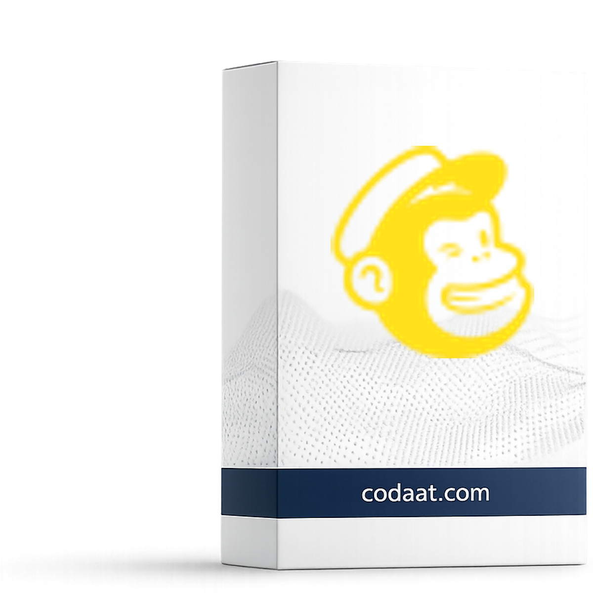 Mailchimp Standard 12 Months