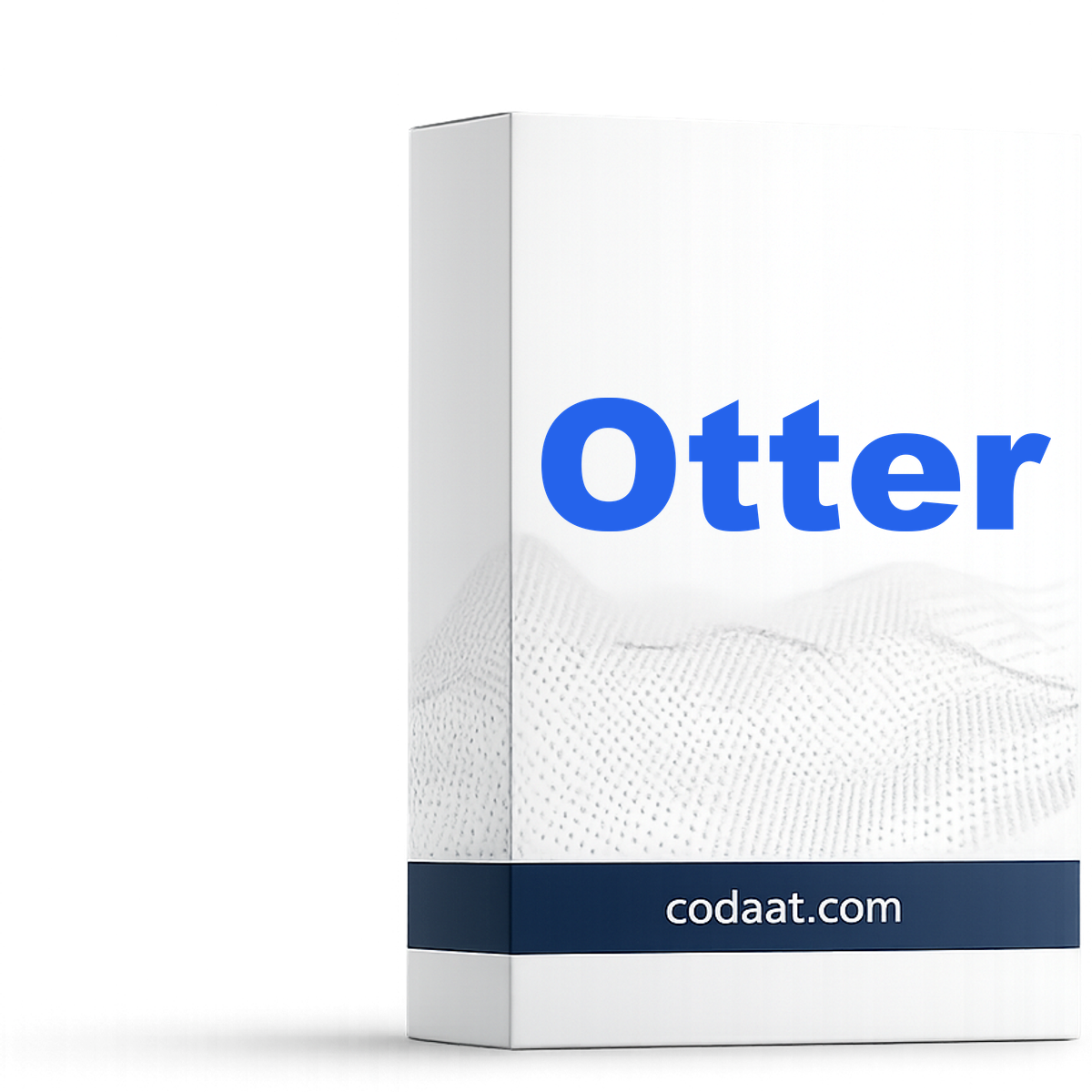 Otter.ai Pro 1 Month