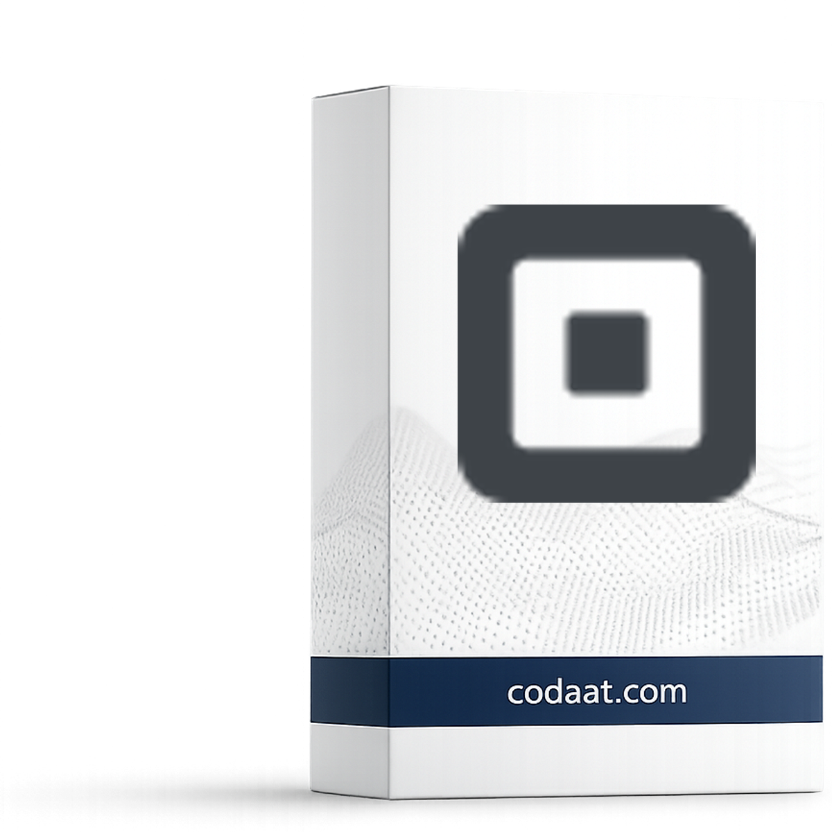 Square Invoices Plus 12 Months