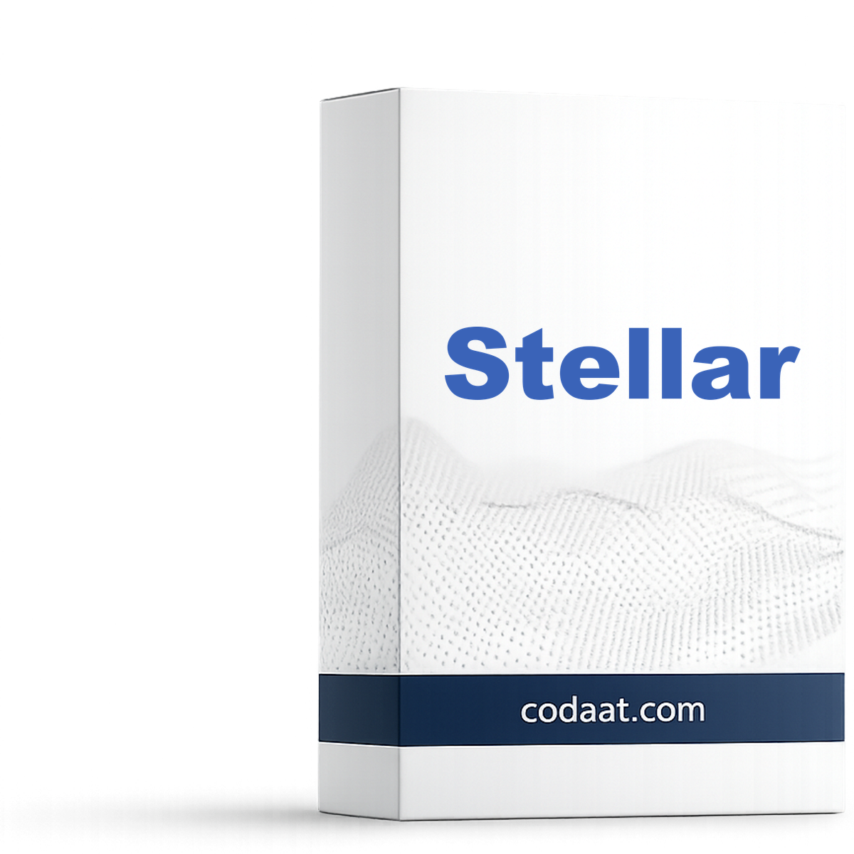 Stellar Data Recovery Standard 1 Year