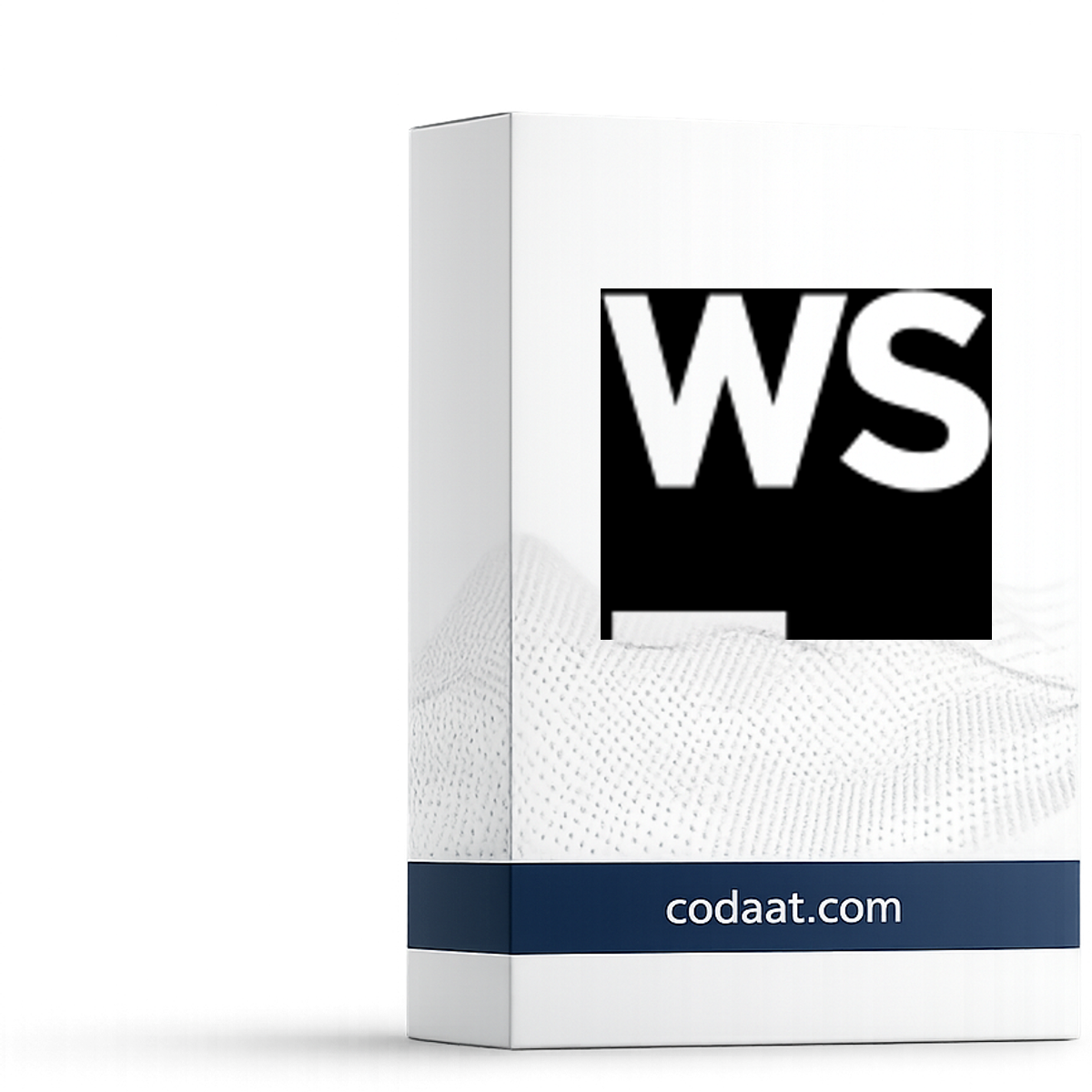 WebStorm 12 Months